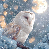 Tarjetas navideñas - 16 tarjetas de lujo - Icy Owls