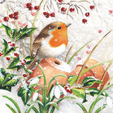 Cartes de Noël - 10 cartes - Rouge-gorge et baies / Dans le jardin