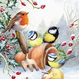 Cartes de Noël - 10 cartes - Rouge-gorge et baies / Dans le jardin