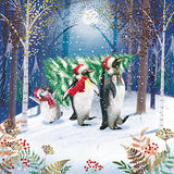 Cartes de Noël - 10 cartes - Pingouins et traîneau de cadeaux / Pingouins et sapin de Noël