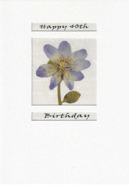 Age 40 - 40th Birthday - Blue Lavatera