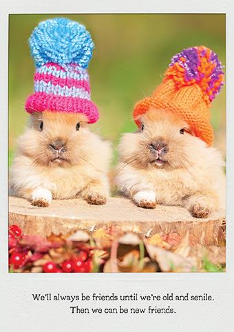 Humour Card - Old and Senile from The Art Group, English cards in France