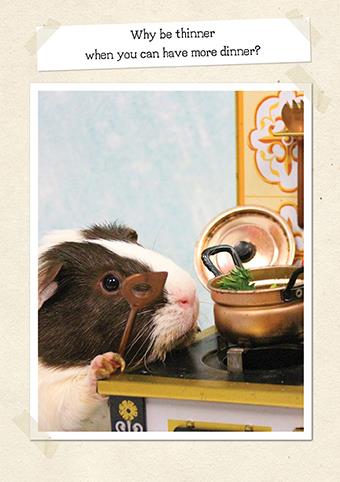 Humour Card - More Dinner from The Art Group, English cards in France