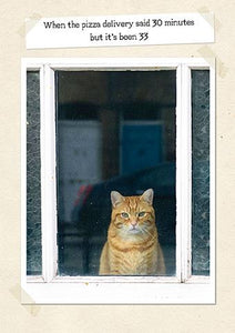 Humour Card - Pizza Delivery Cat from The Art Group, English cards in France
