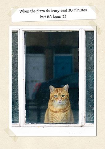 Humour Card - Pizza Delivery Cat from The Art Group, English cards in France
