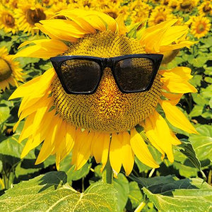 Blank Card - Happy Sunflower In Field from The Art Group, English cards in France
