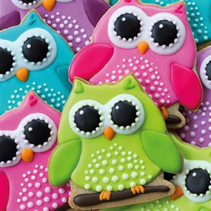 Blank Card - Owl cookies