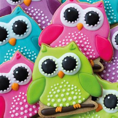 Blank Card - Owl cookies