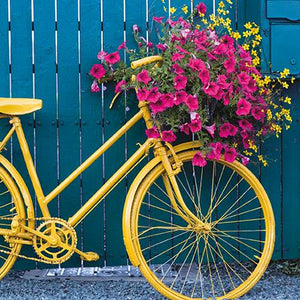 Blank Card - Ochre Floral Bicycle