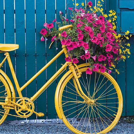 Blank Card - Ochre Floral Bicycle
