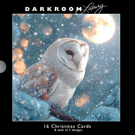 Christmas Cards - 16 Luxury Cards - Icy Owls from The Great British Card Company, Advent Calendars in France, English Christmas Cards in France