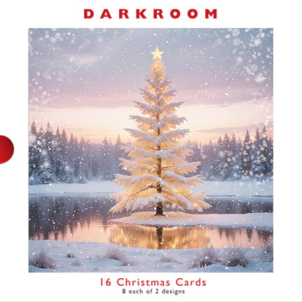 Christmas Cards - 16 Luxury Cards - Snow Covered Xmas Tree And Lake Scene from The Great British Card Company, Advent Calendars in France, English Christmas Cards in France