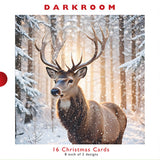 Christmas Cards - 16 Luxury Cards - Deer In The Snow Forest from The Great British Card Company, English Christmas Cards in France