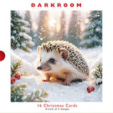 Christmas Cards - 16 Luxury Cards - Hedgehog And Red Squirrel Snow Scene from The Great British Card Company, English Christmas Cards in France