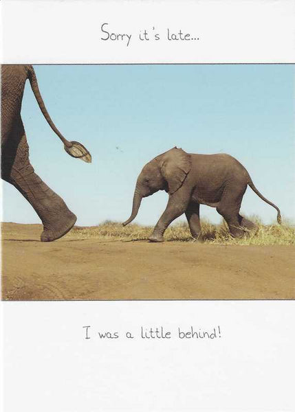 Belated Birthday Card - A Little Bit Behind!