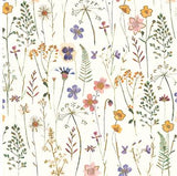 Blank Cards - Pack Of 8 - Meadow Flowers