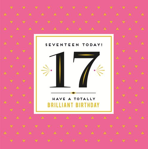 Age 17 - 17th Birthday - Totally Brilliant Birthday