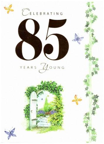 Age 85 - 85th Birthday - 85 Years Young