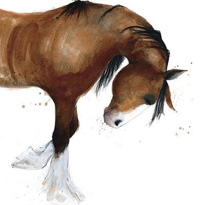 Blank Card - Shire Horse