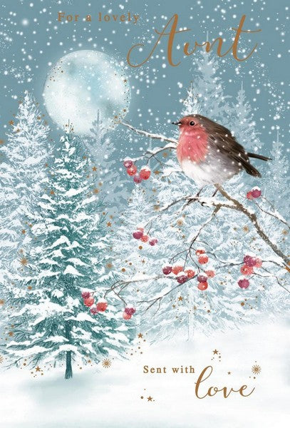 Christmas Card - Aunt - Frosty/Icy Robin from Nigel Quiney Publications, English Cards in France
