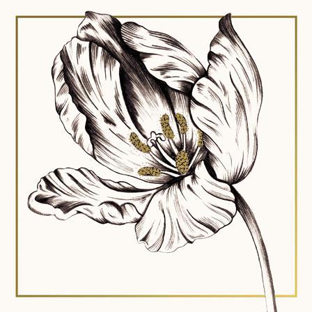 Blank Card - Tulip