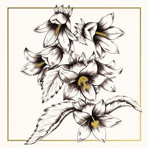 Blank Card - Campanula Bellflower