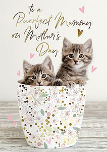 Mother's Day Card - Mummy - Kittens in Pot from The Great British Card Company,  Mother's day cards in France, Cartes de voeux Fete des Meres, English cards in France