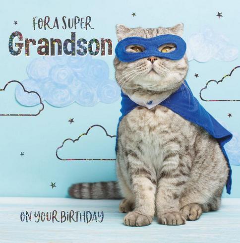 Grandson Birthday - Superhero Cat from Nigel Quiney Publications, English Cards in France