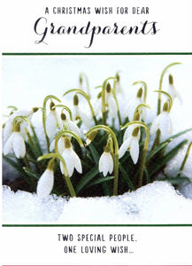 Christmas Card - Grandparents - Snowdrops