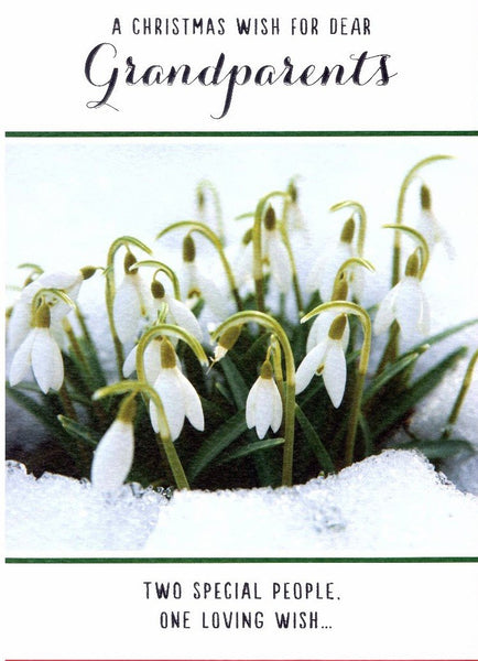 Christmas Card - Grandparents - Snowdrops