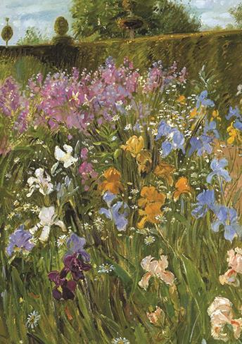 Blank Card - Irises And Damask Violet In The Herb Garden