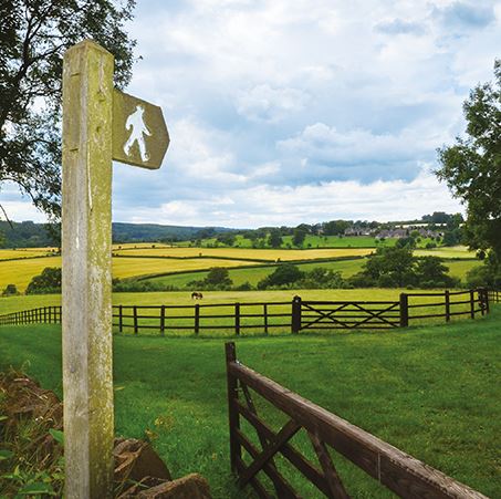 Blank Card - A Country Walk