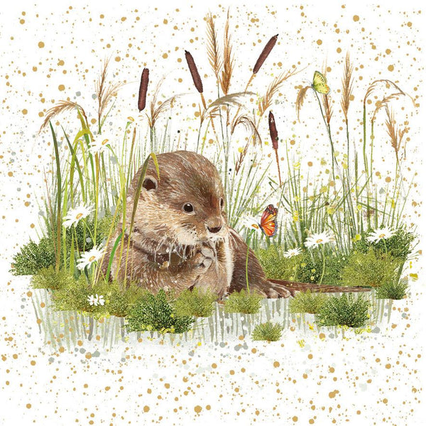Birthday Card - Otter from Nigel Quiney Publications, English Cards in France
