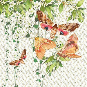 Blank Card - Moths On Flowers from Nigel Quiney Publications, English Cards in France