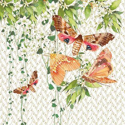 Blank Card - Moths On Flowers from Nigel Quiney Publications, English Cards in France