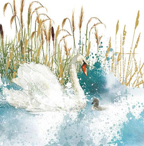 Blank Card - Swan & Chick from Nigel Quiney Publications, English Cards in France