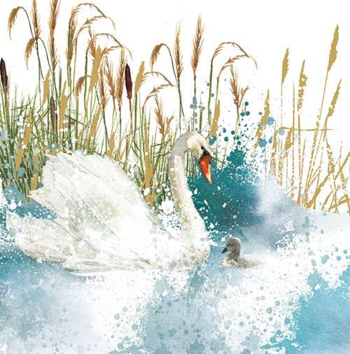 Blank Card - Swan & Chick from Nigel Quiney Publications, English Cards in France