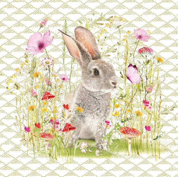 Birthday Card - Little Bunny from Nigel Quiney Publications, English Cards in France