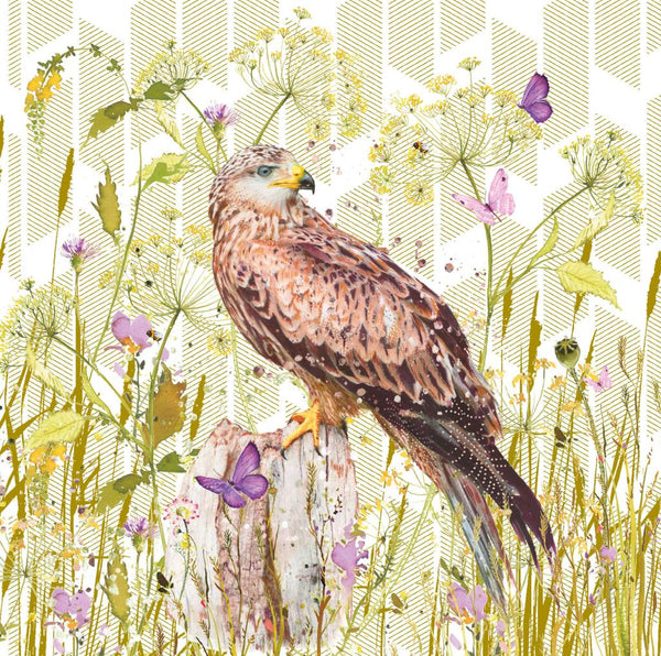 Birthday Card - Red Kite from Nigel Quiney Publications, English Cards in France