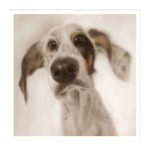 Birthday Card - Pastel Great Dane from Nigel Quiney Publications, English Cards in France