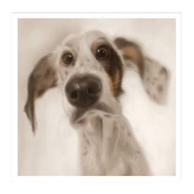 Birthday Card - Pastel Great Dane from Nigel Quiney Publications, English Cards in France