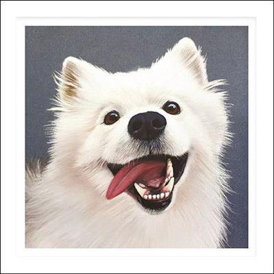 Birthday Card - Pastel Samoyed from Nigel Quiney Publications, English Cards in France