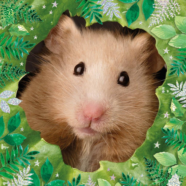 Blank Card - Hamster/Leaf from Nigel Quiney Publications, English Cards in France
