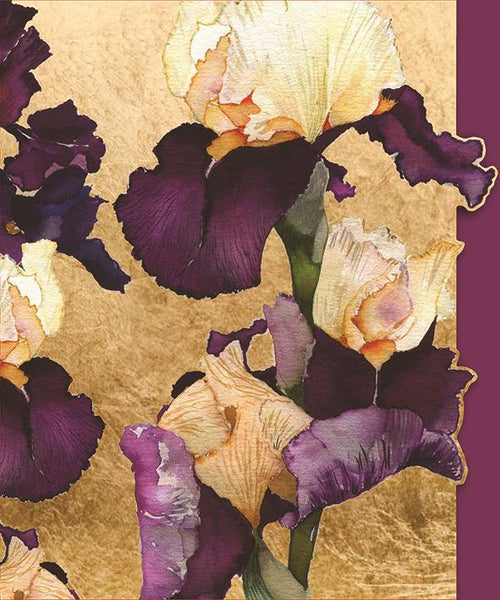 Birthday Card - Purple Iris from Nigel Quiney Publications, English Cards in France