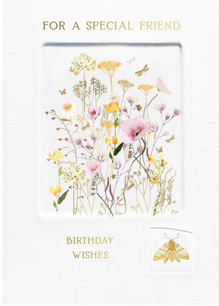 Birthday Card - Special Friend - Wild Field Press from Nigel Quiney Publications, English Cards in France
