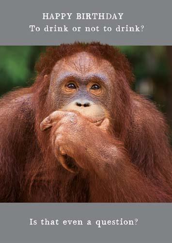 Humour Card - Orangutan Drink Or Not?
