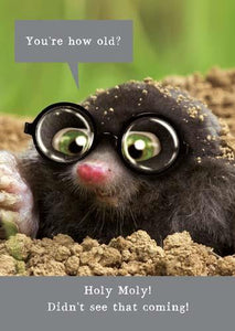 Humour Card - Holey Moley How Old