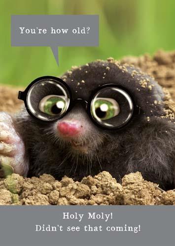 Humour Card - Holey Moley How Old