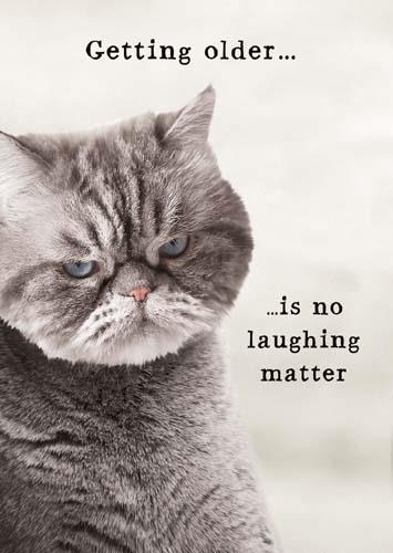 Humour Card - Grumpy Cat Getting Older