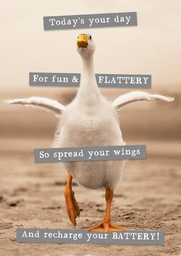 Humour Card - Goose Running Today's Your Day